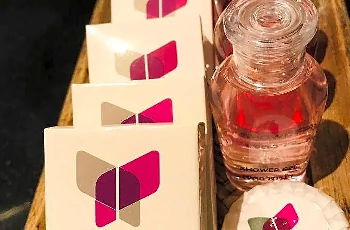 酒店 帕拉迪索精品套房酒店 3*
